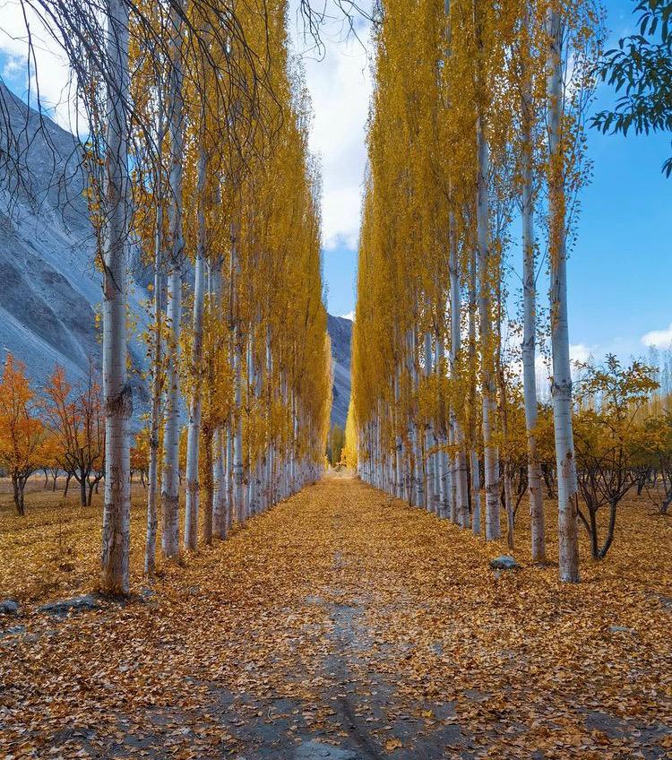 Gwari Khaplu in Autumn