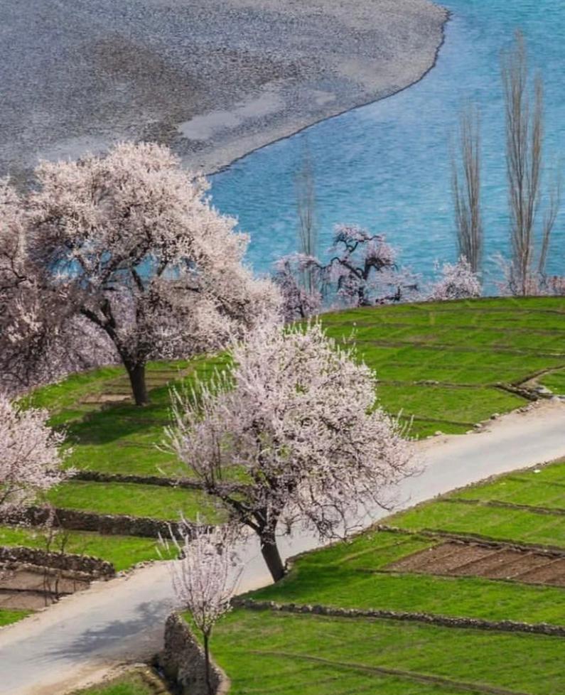 Spring Pakistan