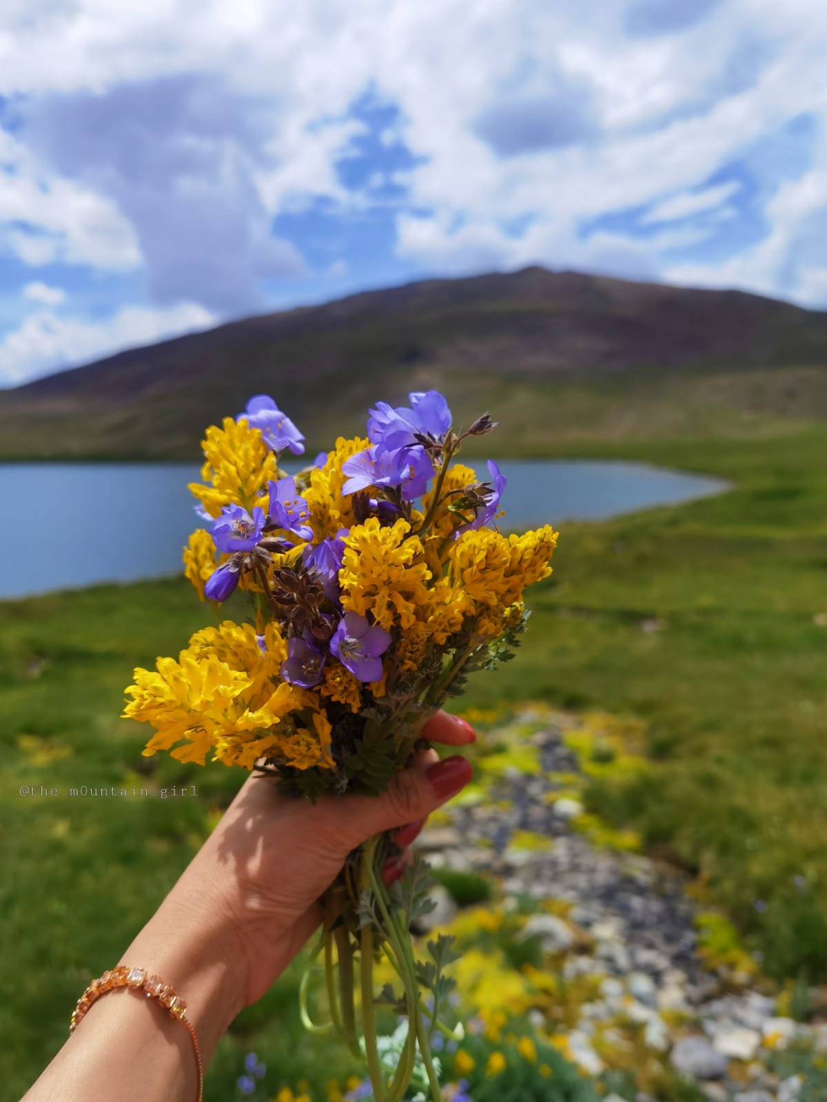 Sheosar lake, Deosai National Park